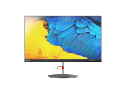  Lenovo ThinkVision X24-20