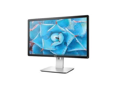  Dell 24 Monitor - P2415Q
